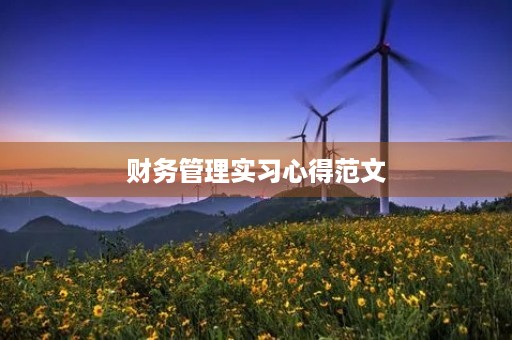 财务管理实习心得范文