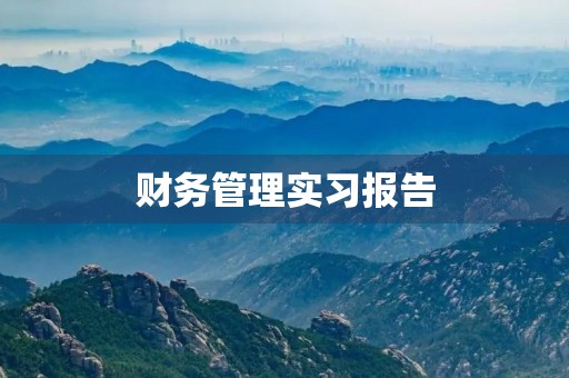 财务管理实习报告