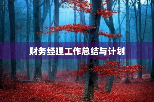 财务经理工作总结与计划，财务经理的工作总结和工作计划怎么写