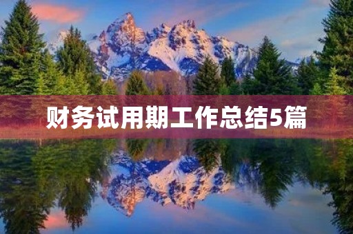 财务试用期工作总结5篇