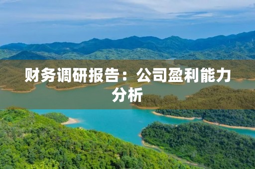财务调研报告:公司盈利能力分析 财务调研报告:公司盈利能力分析