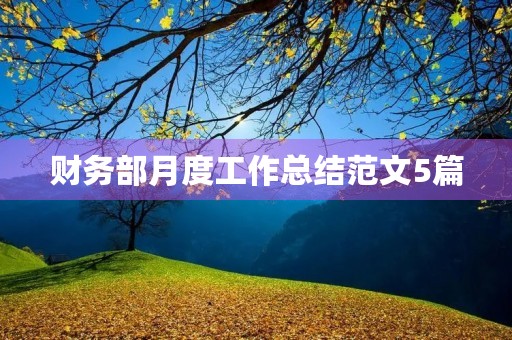 财务部月度工作总结范文5篇