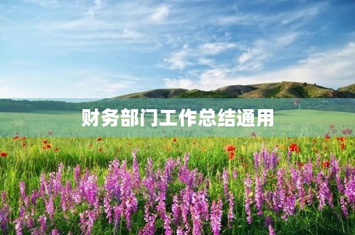 财务部门工作总结通用