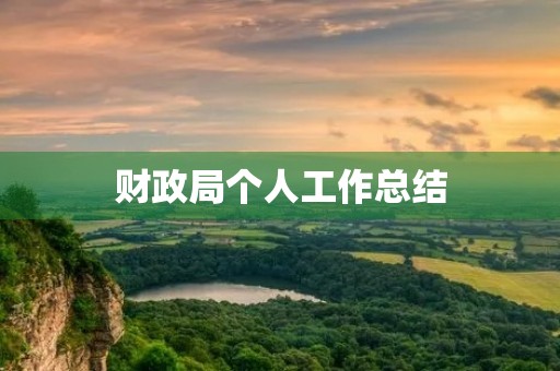 财政局个人工作总结