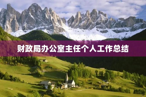 财政局办公室主任个人工作总结