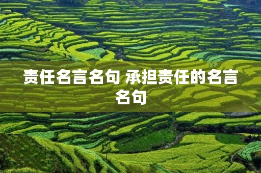 责任名言名句 承担责任的名言名句 责任名言名句 承担责任的名言名句