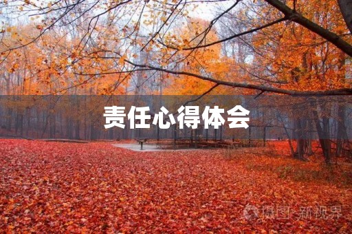 责任心得体会
