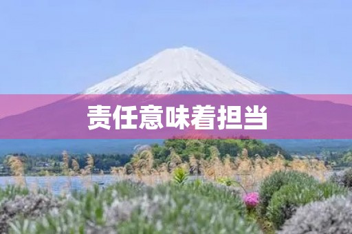 责任意味着担当，不是逃避