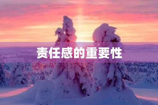 责任感的重要性 责任感的重要性