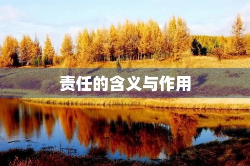 责任的含义与作用