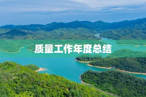 质量工作年度总结