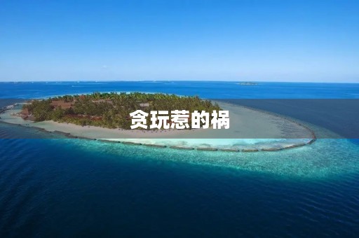 贪玩惹的祸