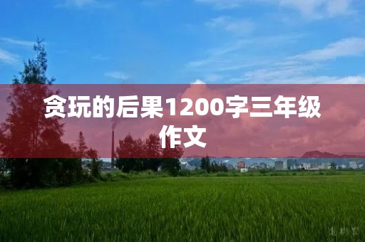 贪玩的后果1200字三年级作文