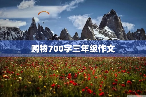 购物700字三年级作文