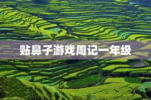 贴鼻子游戏周记一年级 贴鼻子游戏周记一年级