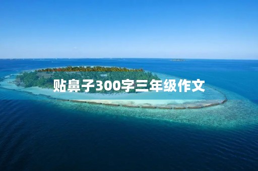 贴鼻子300字三年级作文