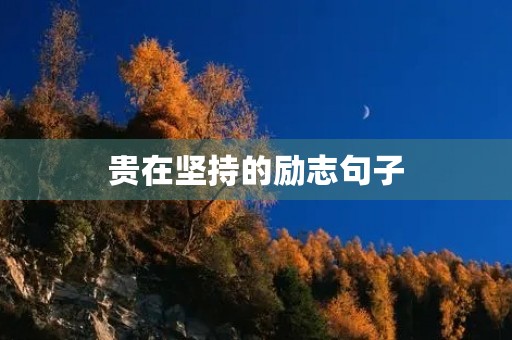 贵在坚持的励志句子(贵在坚持的励志句子简短)