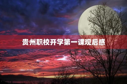 贵州职校开学第一课观后感 贵州职校开学第一课观后感
