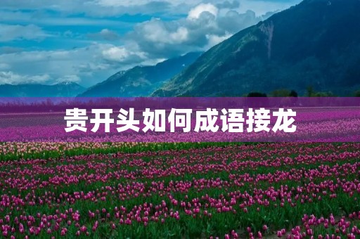 贵开头如何成语接龙