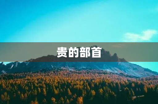 贵的部首(贵的部首) 贵的部首(贵的部首)