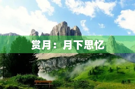 赏月：月下思忆