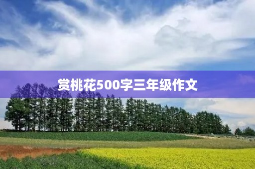 赏桃花500字三年级作文