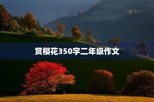 赏樱花350字二年级作文