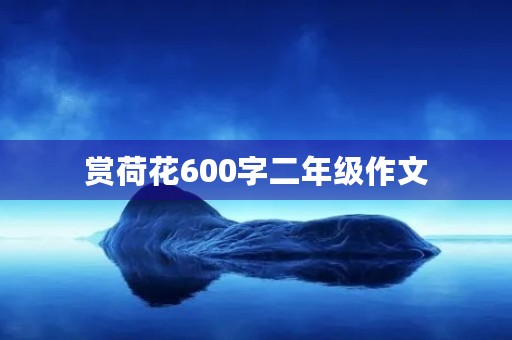 赏荷花600字二年级作文