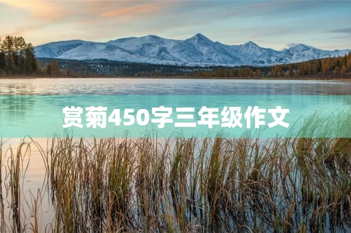 赏菊450字三年级作文