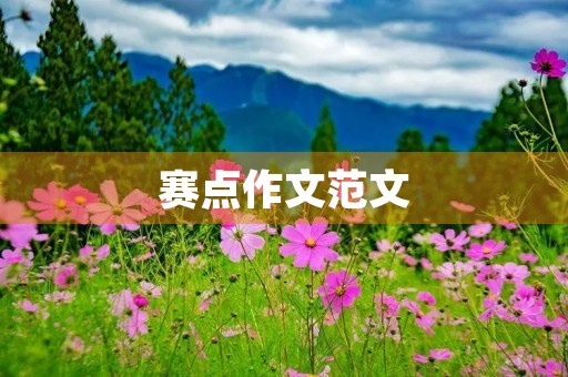 赛点作文范文
