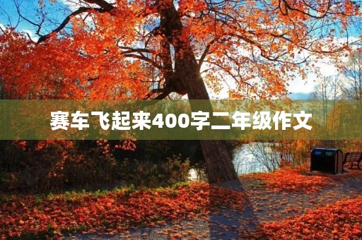 赛车飞起来400字二年级作文