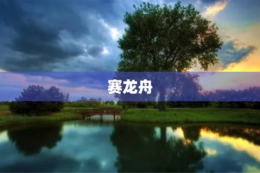 赛龙舟