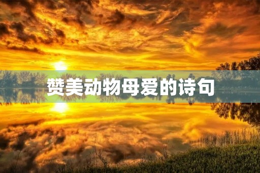 赞美动物母爱的诗句(赞美动物母爱的诗句或名人名言)