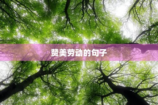 赞美劳动的句子(赞美劳动的句子唯美简短) 赞美劳动的句子(赞美劳动的句子唯美简短)