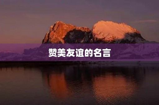 赞美友谊的名言(赞美友谊的名言名句) 赞美友谊的名言(赞美友谊的名言名句)