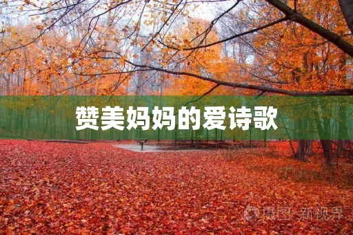 赞美妈妈的爱诗歌 赞美妈妈的爱诗歌