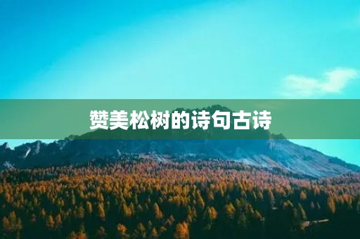 赞美松树的诗句古诗 赞美松树的诗句古诗