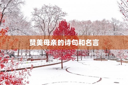 赞美母亲的诗句和名言,赞美母亲的诗句或名言有哪些 赞美母亲的诗句和名言,赞美母亲的诗句或名言有哪些