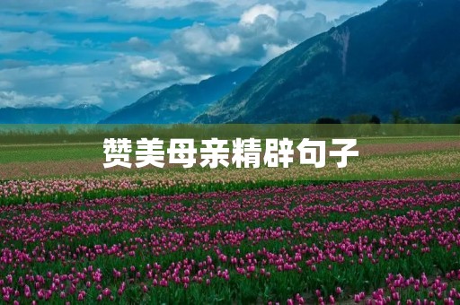 赞美母亲精辟句子(赞美母亲精辟句子简短) 赞美母亲精辟句子(赞美母亲精辟句子简短)