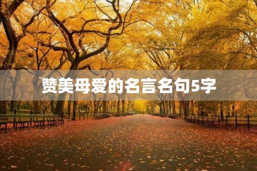 赞美母爱的名言名句5字，赞美母爱的名言名句5字左右