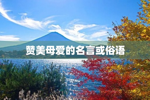 赞美母爱的名言或俗语，赞美母爱的名言或俗语四年级