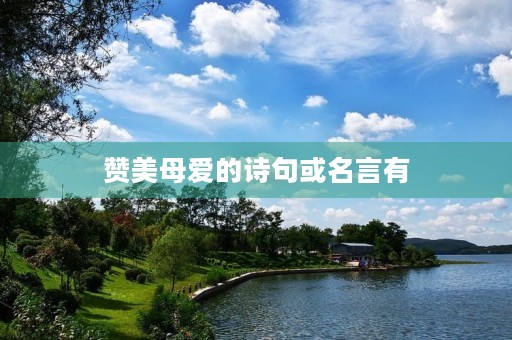 赞美母爱的诗句或名言有，赞美母爱的诗句或名言有哪些四年级
