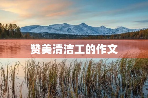 赞美清洁工的作文