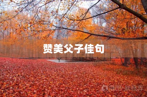 赞美父子佳句(赞美父子佳句相的句子) 赞美父子佳句(赞美父子佳句相的句子)