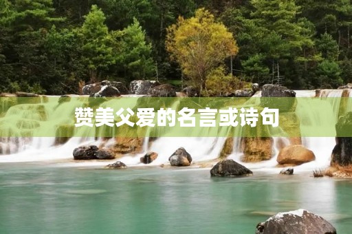 赞美父爱的名言或诗句，赞美父爱的名言或诗句大全
