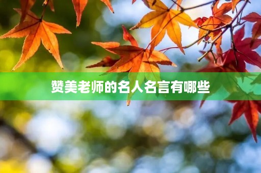 赞美老师的名人名言有哪些(赞美老师的名人名言有哪些三年级) 赞美老师的名人名言有哪些(赞美老师的名人名言有哪些三年级)