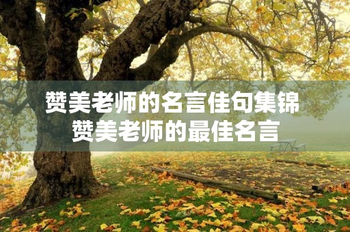 赞美老师的名言佳句集锦 赞美老师的最佳名言