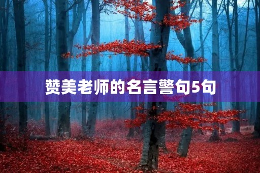 赞美老师的名言警句5句(赞美老师的 名言警句) 赞美老师的名言警句5句(赞美老师的 名言警句)