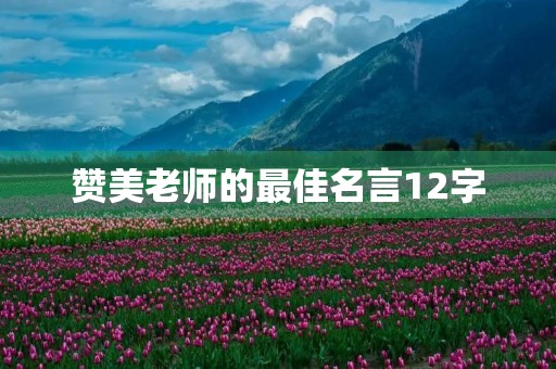 赞美老师的最佳名言12字(感恩老师最佳句子)