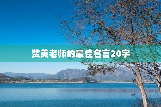 赞美老师的最佳名言20字(赞美老师的最佳名言20字左右)